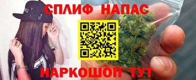 стафф Славгород