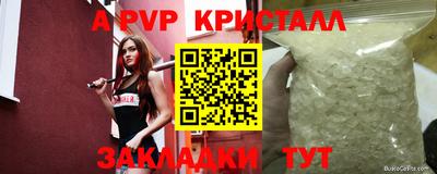 стафф Славгород