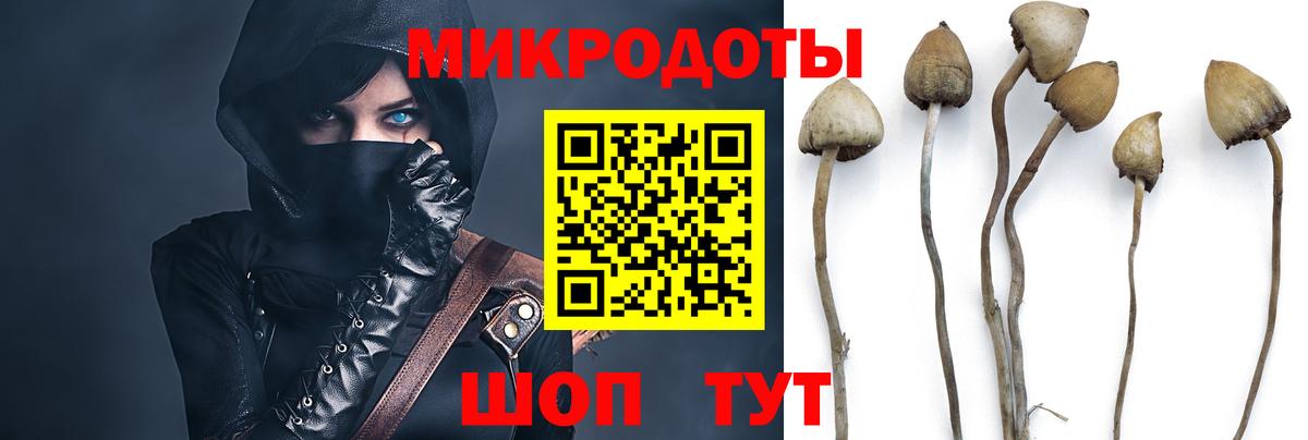 Галлюциногенные грибы прущие грибы  Вход с VPN  Полысаево 